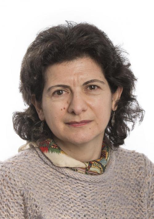 Dr Paula Kareclas