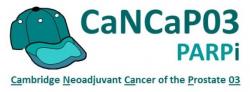 CaNCaP03 logo