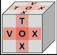 VoxTox logo