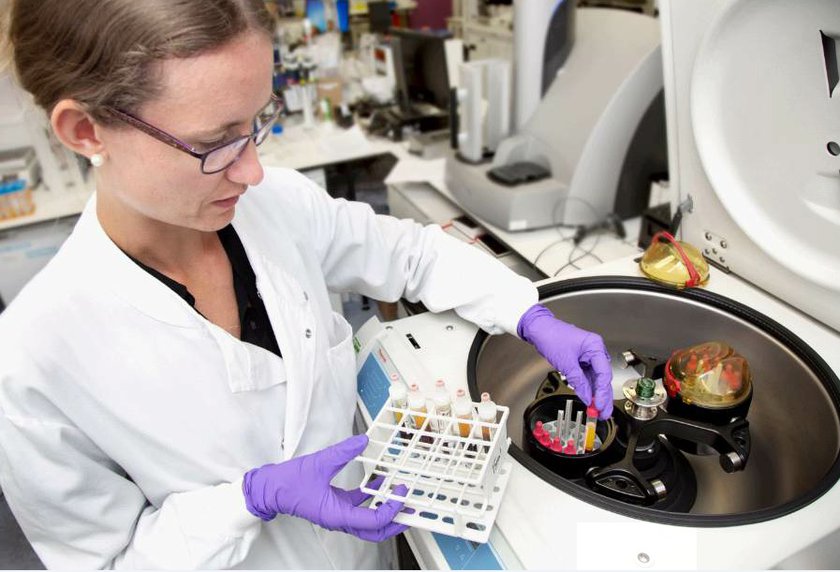 Samples are carefully separated, analysed and stored.